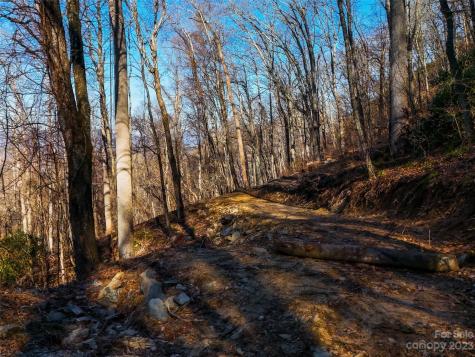 58 Flora Rose Trail Asheville NC 28803