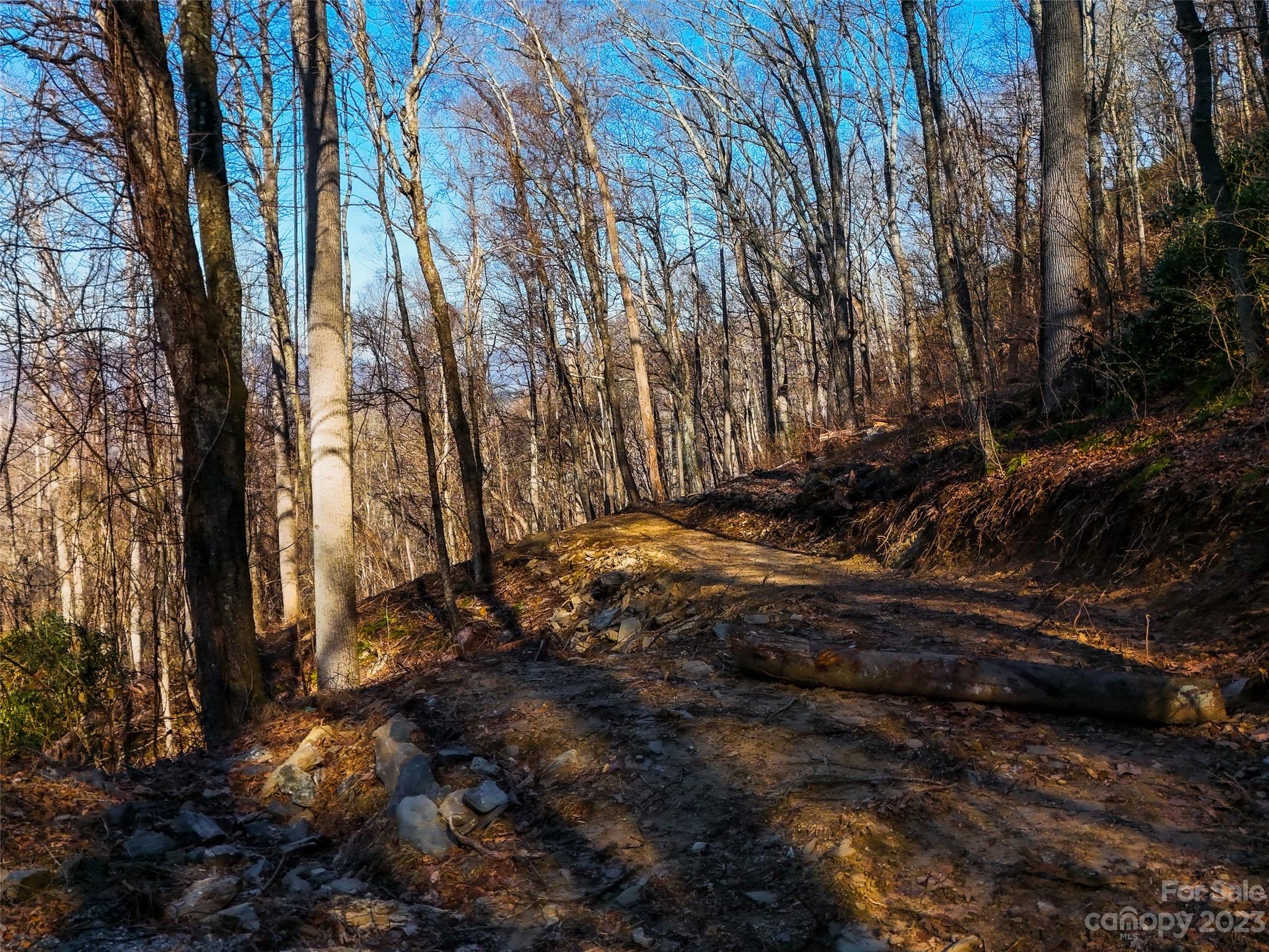 58 Flora Rose Trail Asheville NC 28803