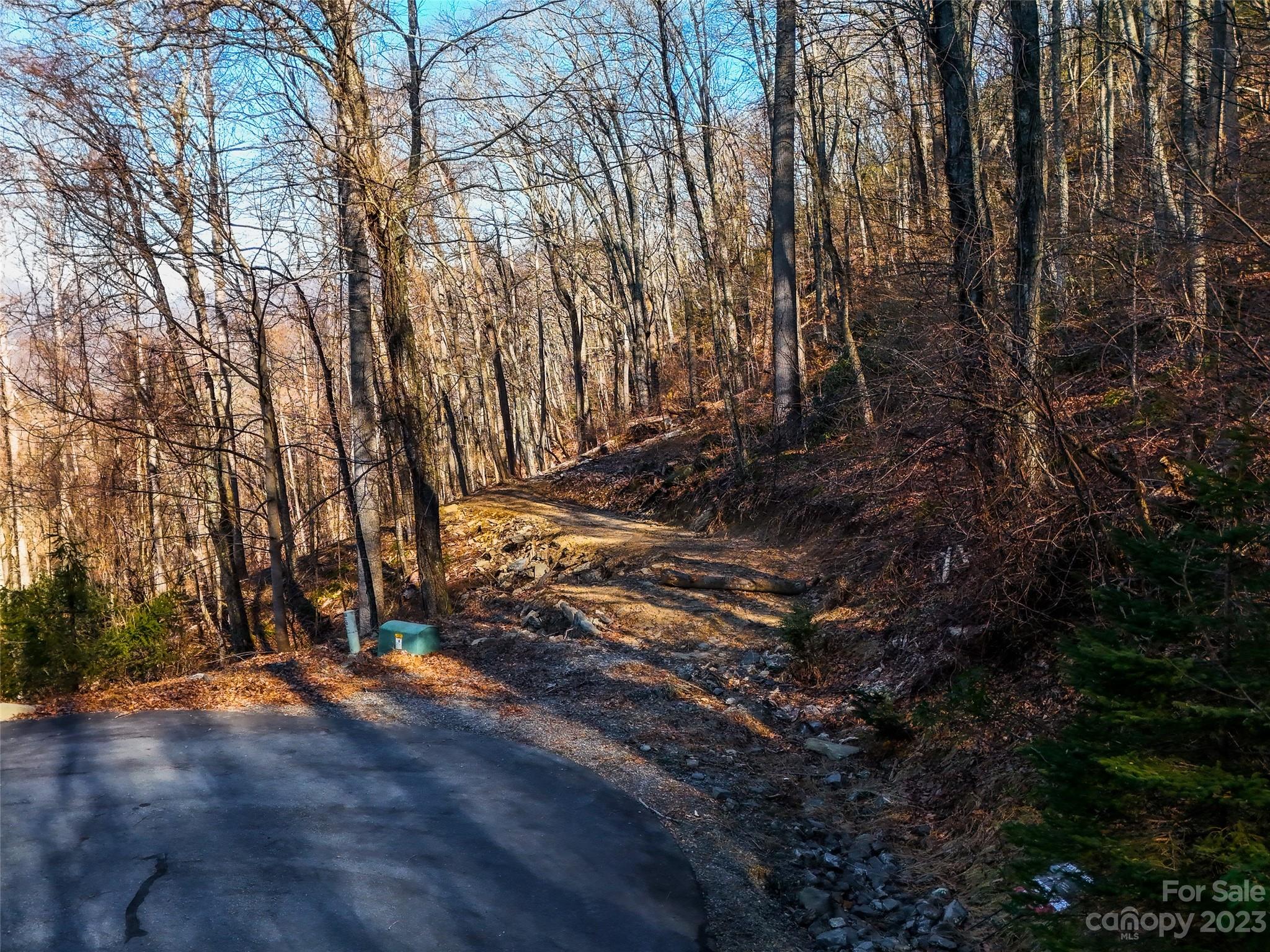 58 Flora Rose Trail Asheville NC 28803