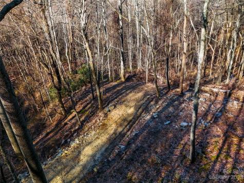 58 Flora Rose Trail Asheville NC 28803