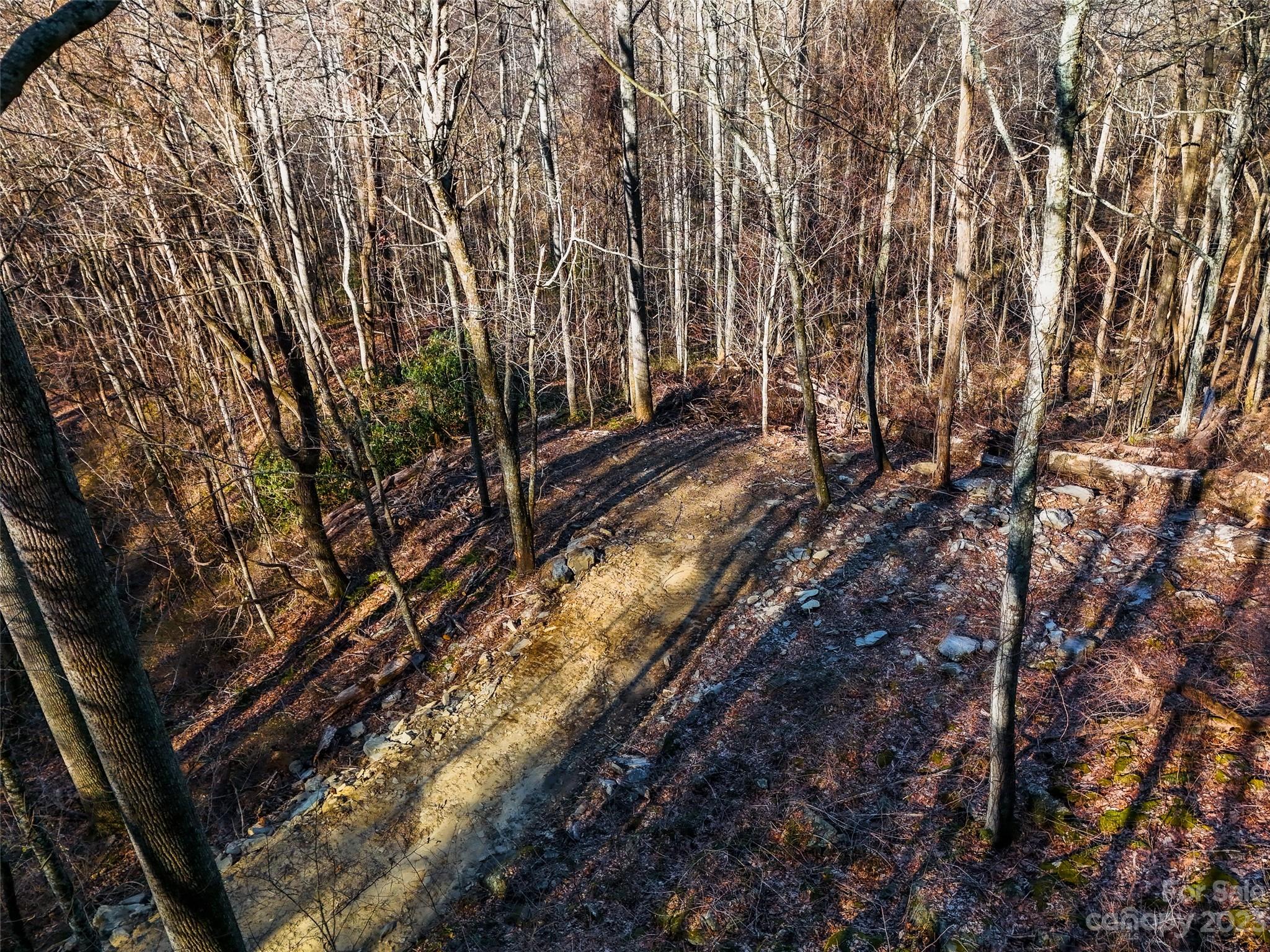 58 Flora Rose Trail Asheville NC 28803