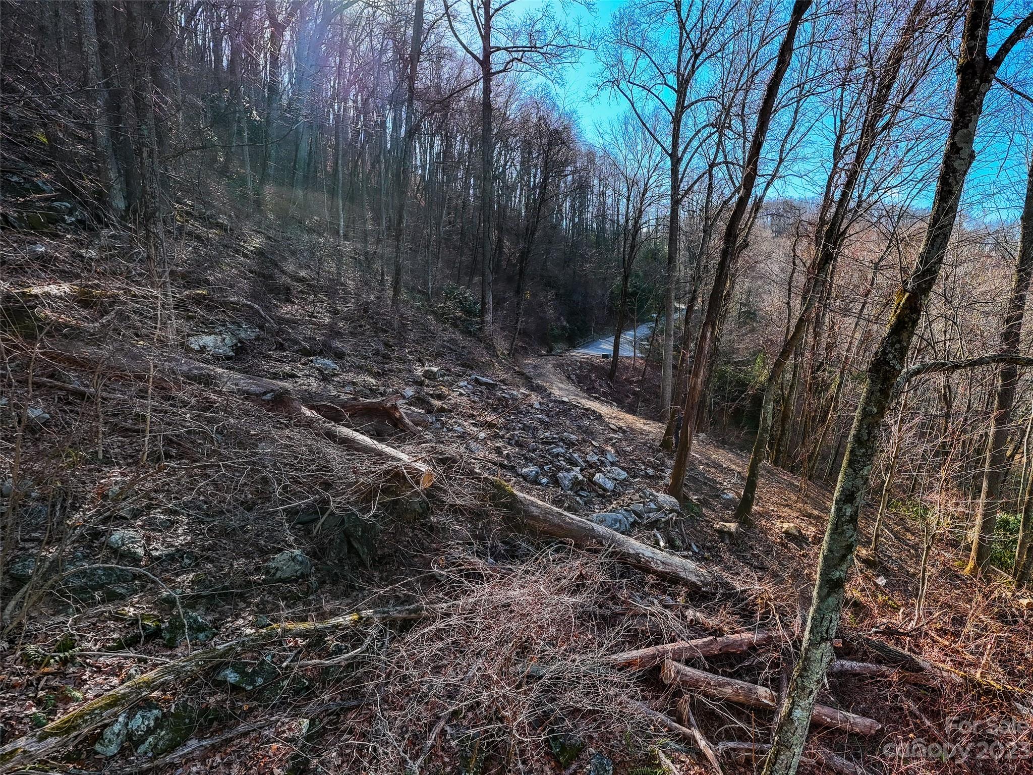 58 Flora Rose Trail Asheville NC 28803