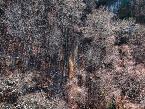 58 Flora Rose Trail Asheville NC 28803