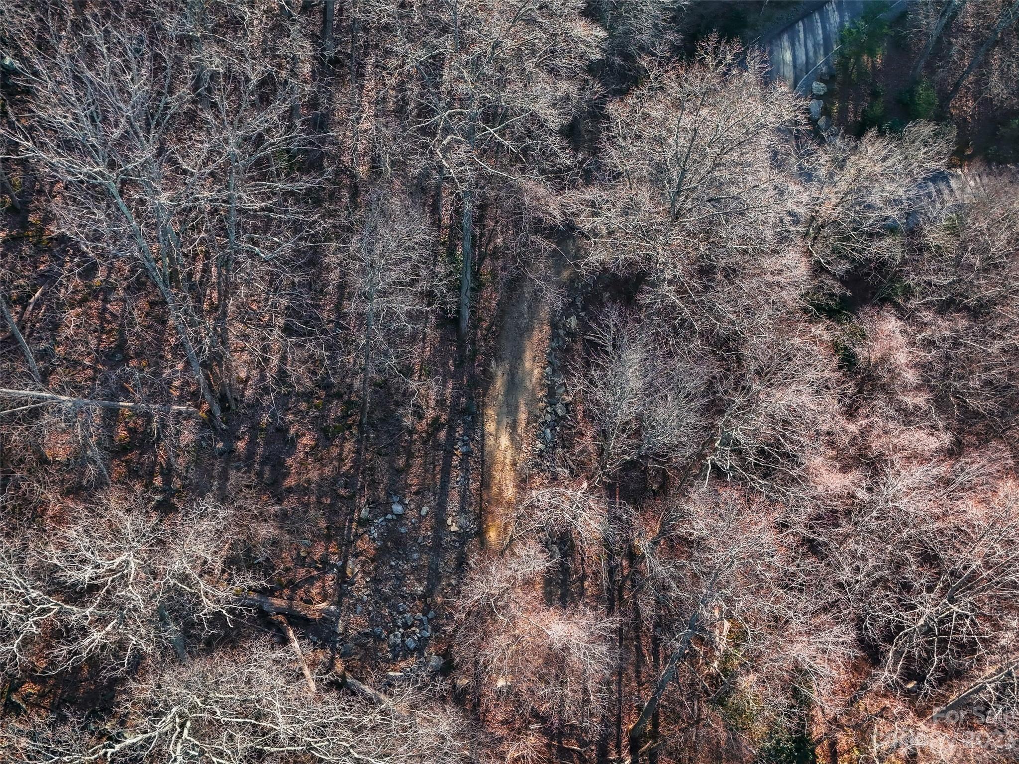 58 Flora Rose Trail Asheville NC 28803