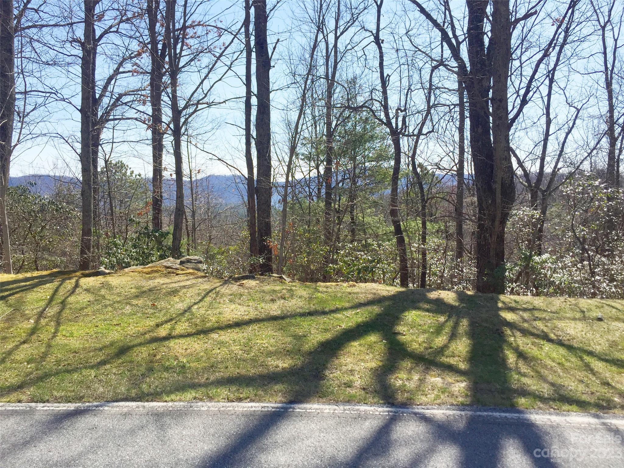 102 Bollers Knob Lane Hendersonville NC 28739
