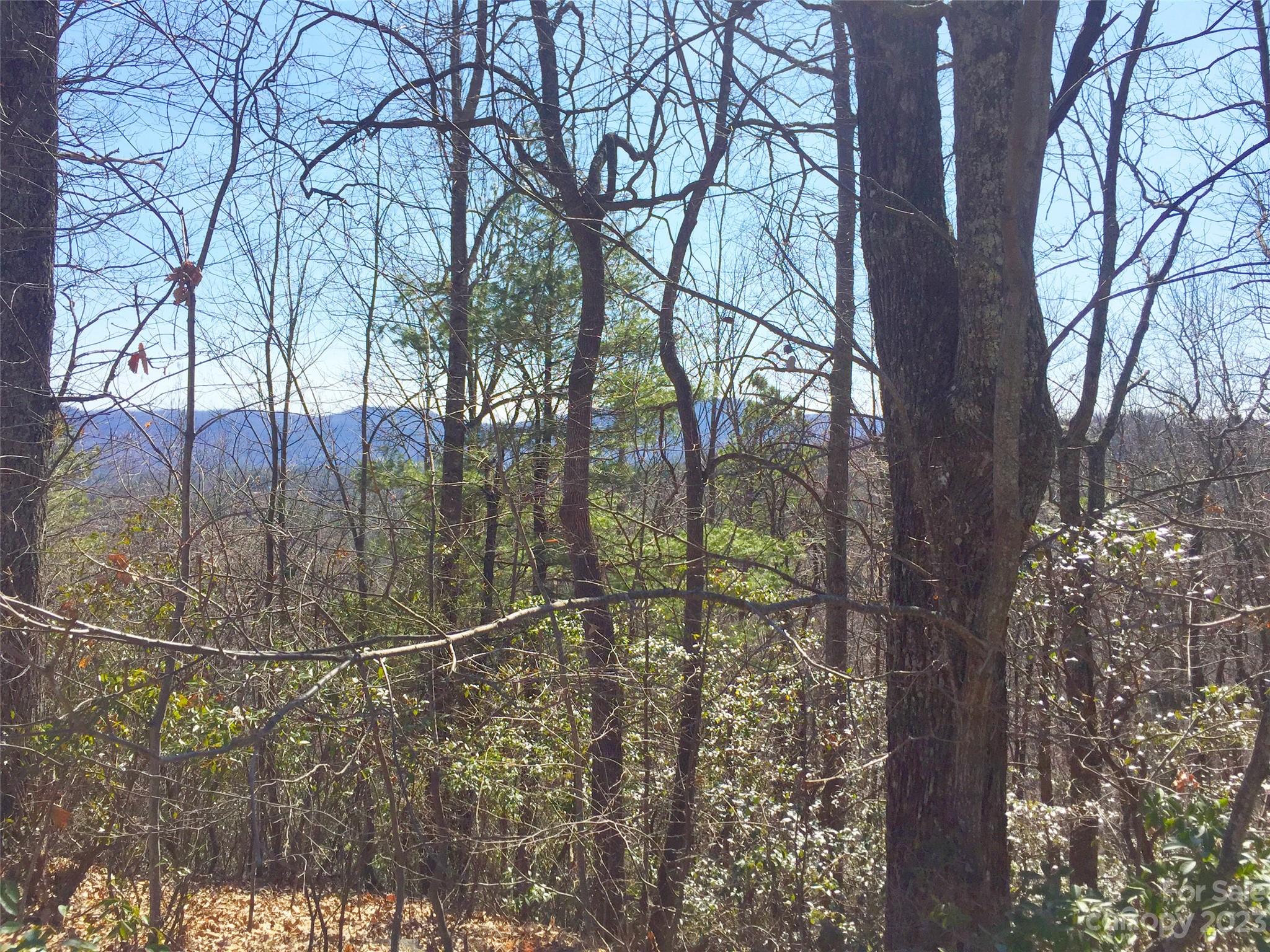 102 Bollers Knob Lane Hendersonville NC 28739