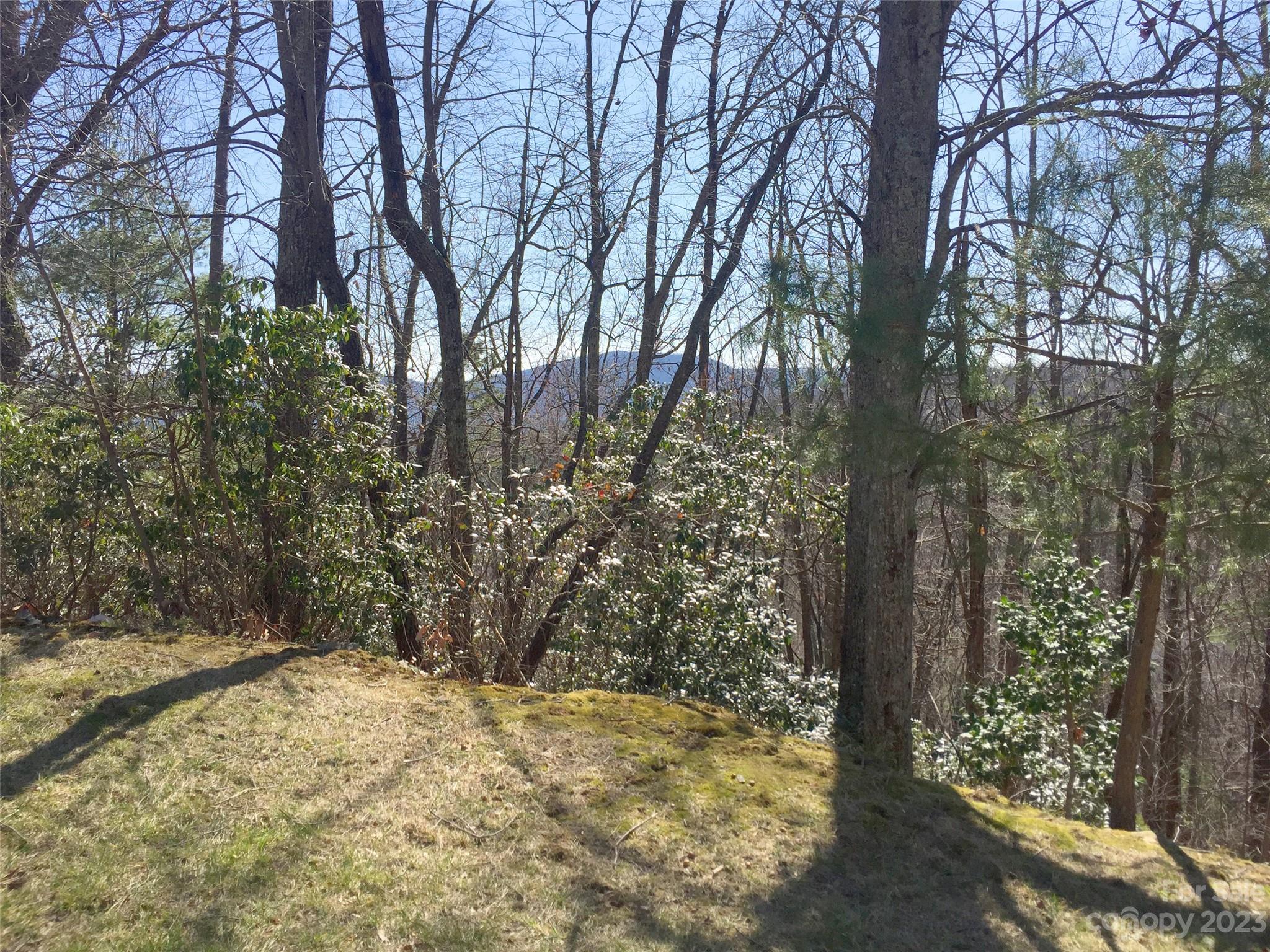 102 Bollers Knob Lane Hendersonville NC 28739