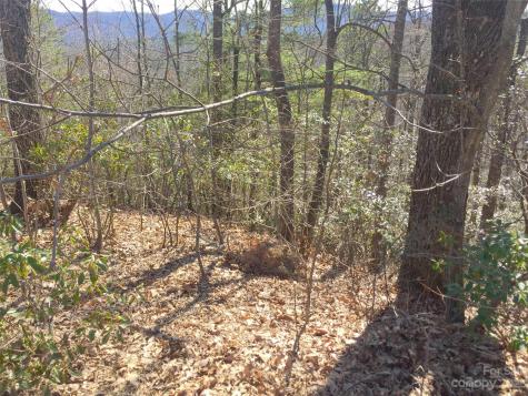 102 Bollers Knob Lane Hendersonville NC 28739