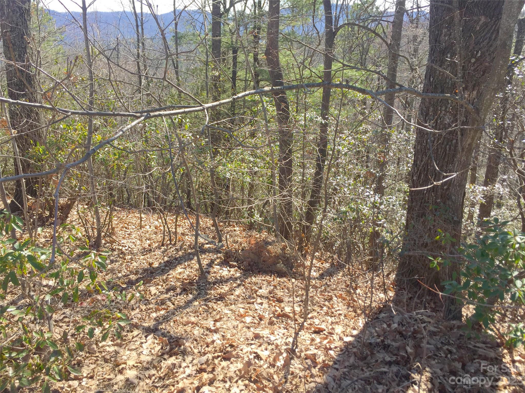 102 Bollers Knob Lane Hendersonville NC 28739