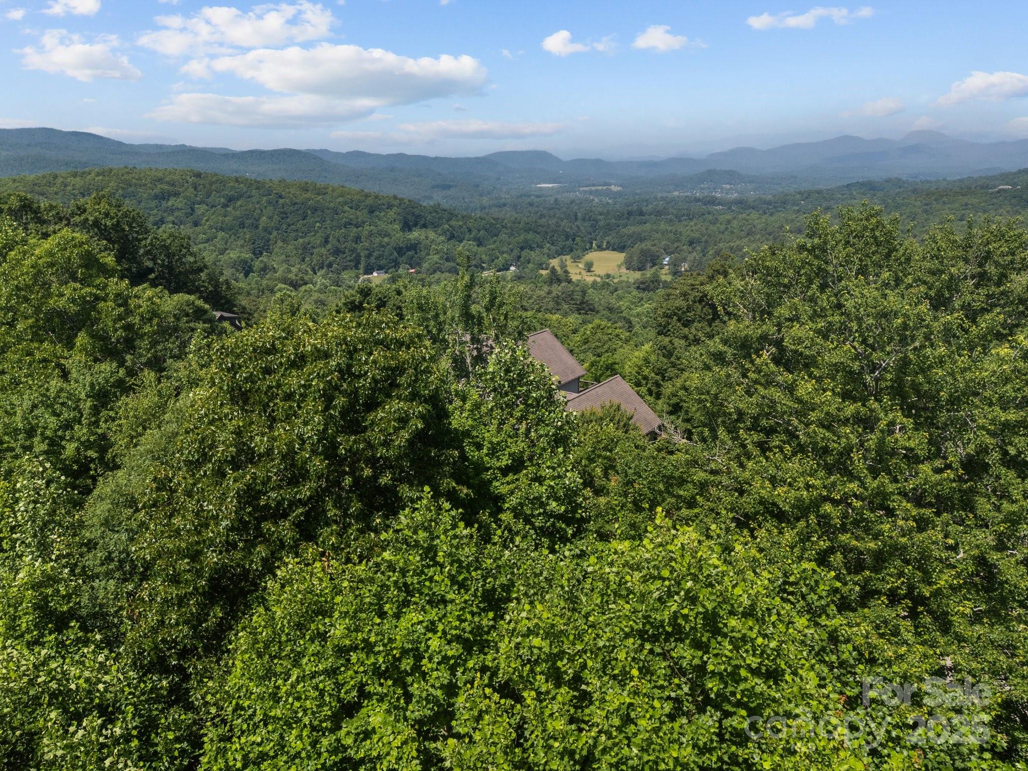 1063 Somersby Parkway Hendersonville NC 28739