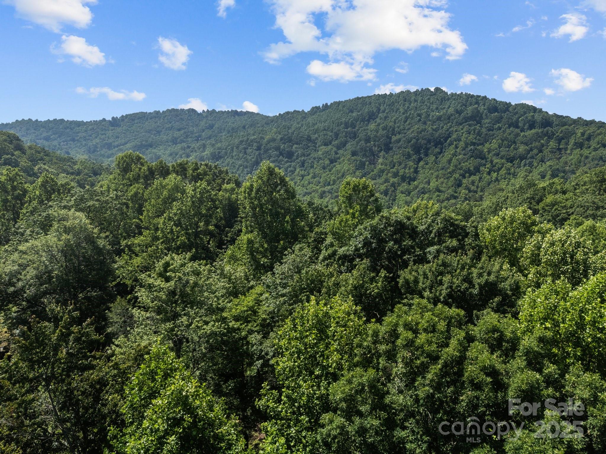 1063 Somersby Parkway Hendersonville NC 28739