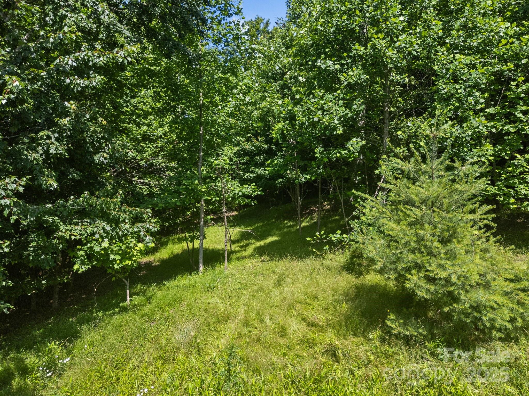 1063 Somersby Parkway Hendersonville NC 28739