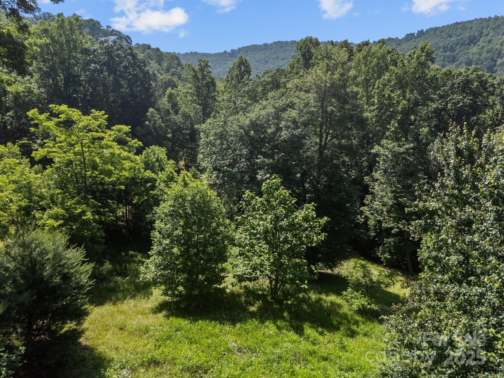 1063 Somersby Parkway Hendersonville NC 28739