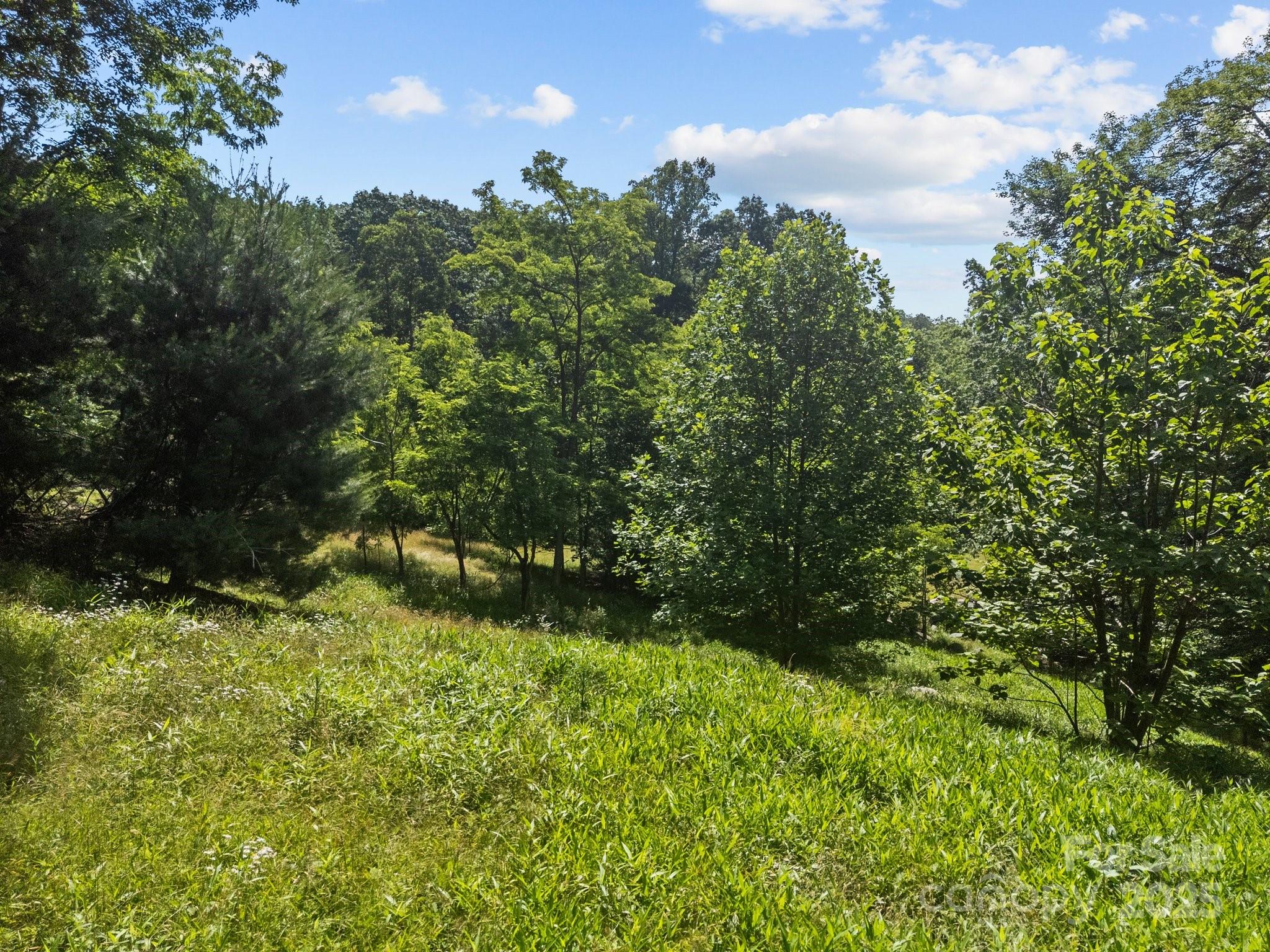 1063 Somersby Parkway Hendersonville NC 28739