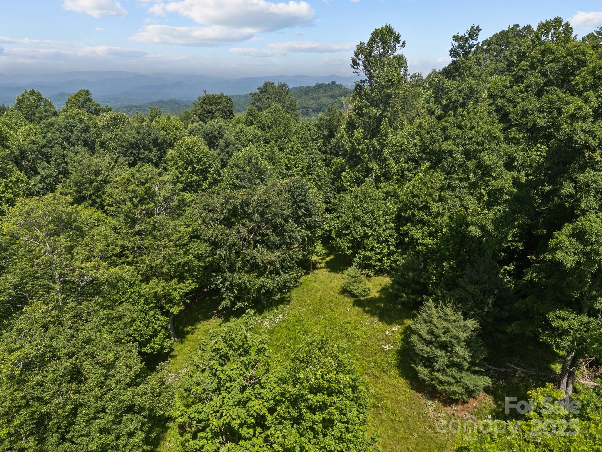 1063 Somersby Parkway Hendersonville NC 28739