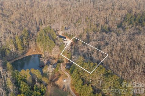 0000 Red Eft Way Horse Shoe NC 28742