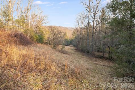 0000 Red Eft Way Horse Shoe NC 28742
