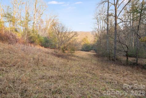 0000 Red Eft Way Horse Shoe NC 28742