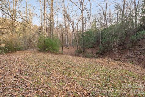 0000 Red Eft Way Horse Shoe NC 28742