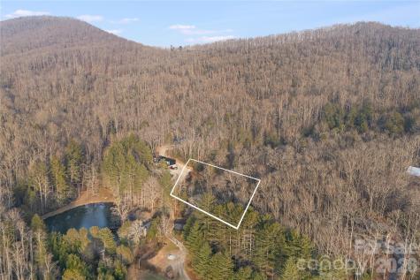 0000 Red Eft Way Horse Shoe NC 28742