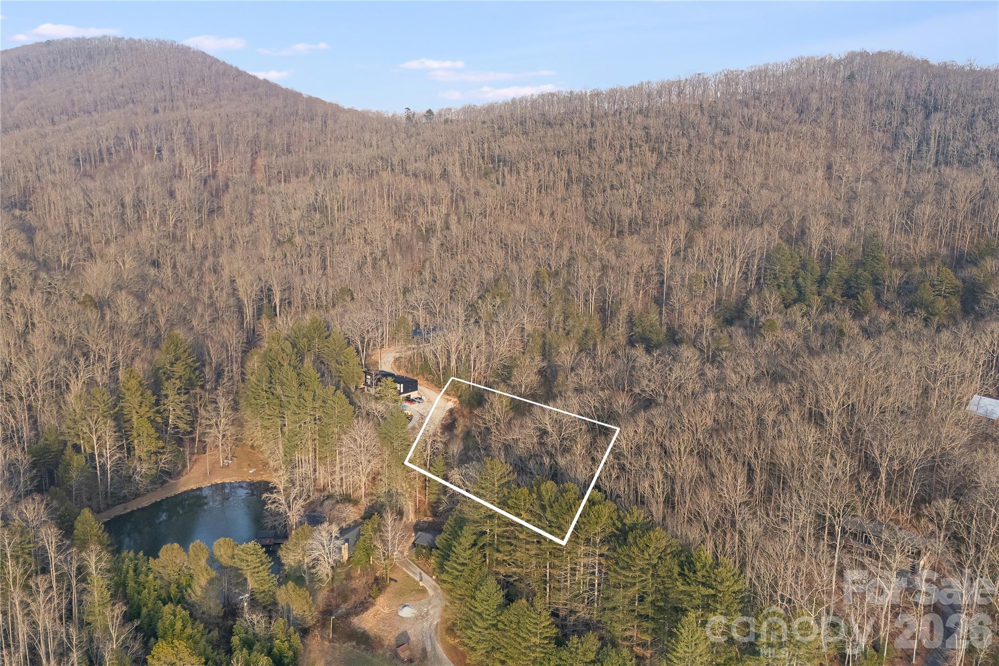 0000 Red Eft Way Horse Shoe NC 28742