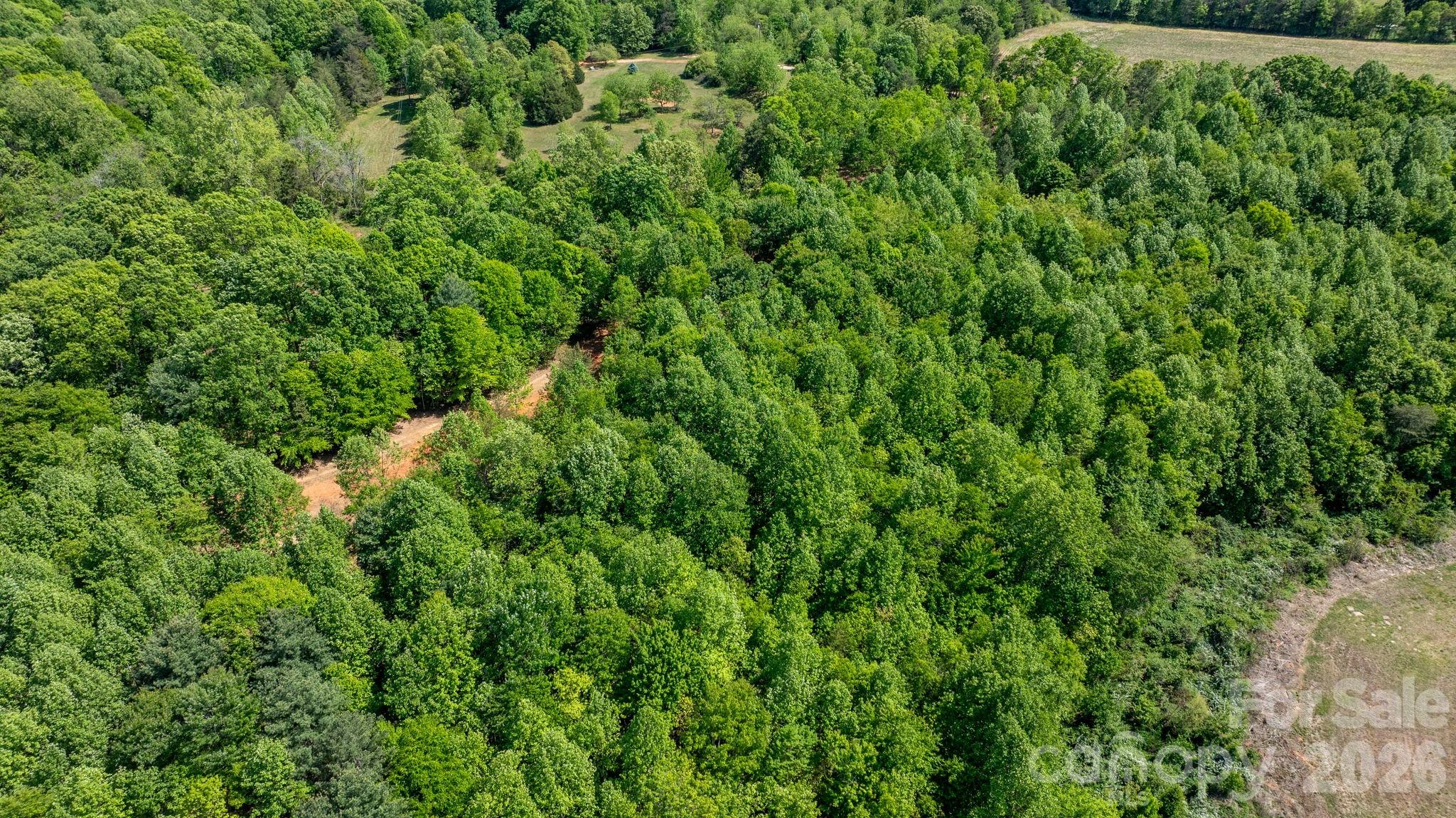 173 Long Leaf Pine Drive Hiddenite NC 28636