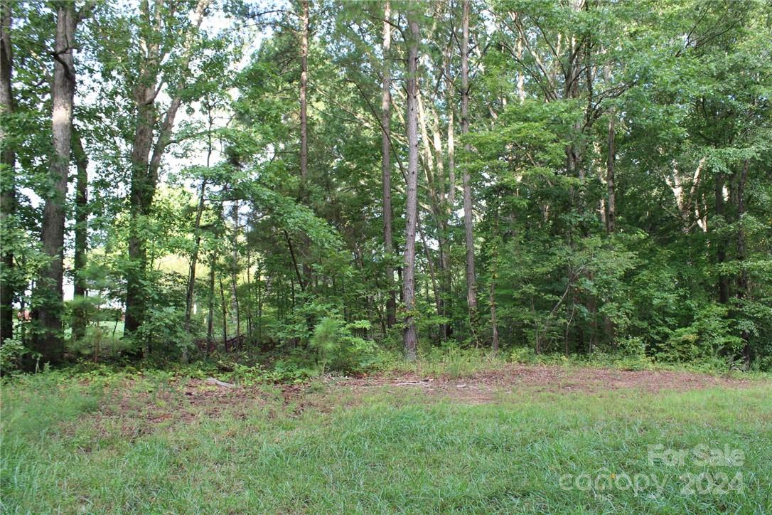 0 Hoover Road Troutman NC 28166