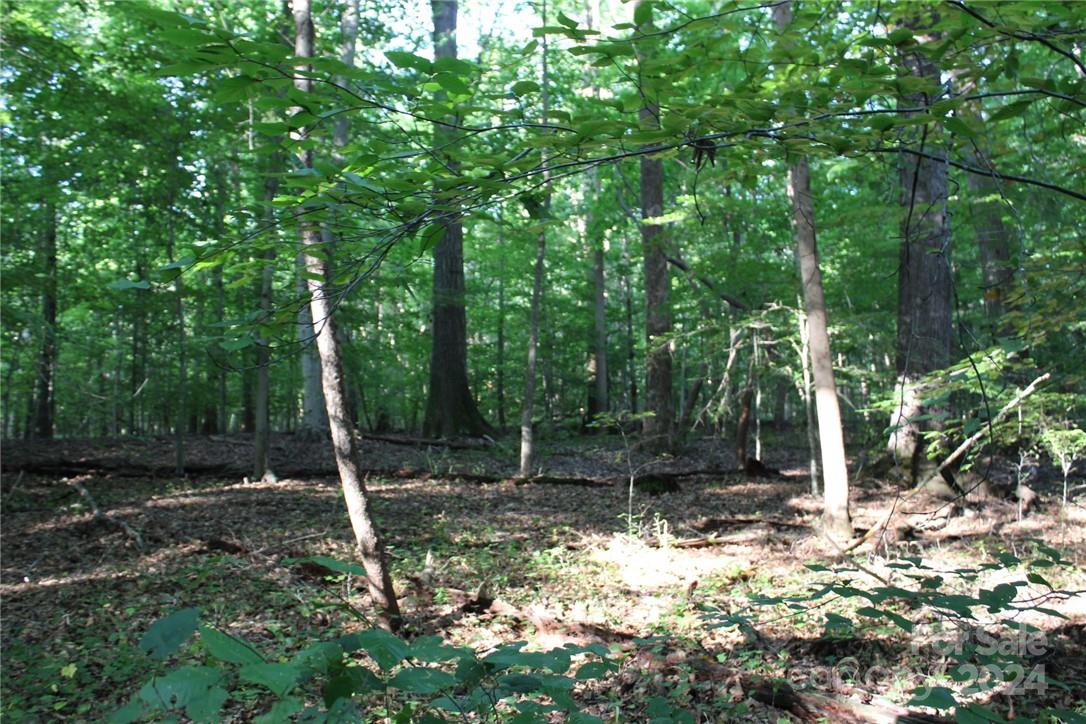 0 Hoover Road Troutman NC 28166