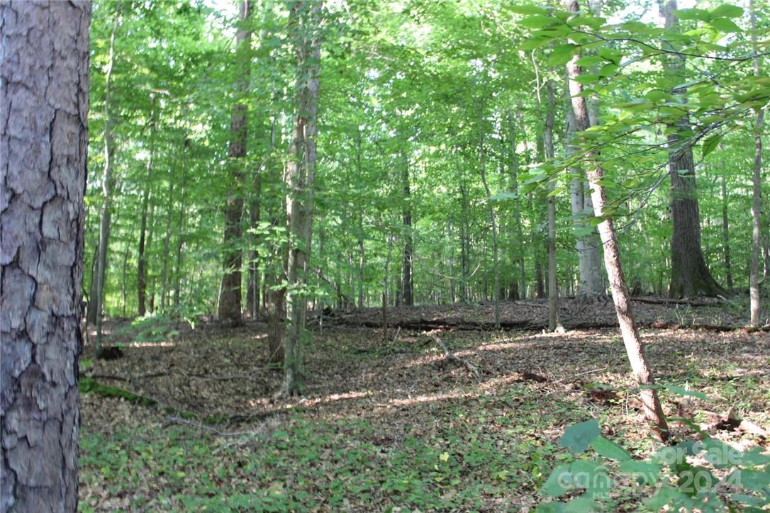 0 Hoover Road Troutman NC 28166