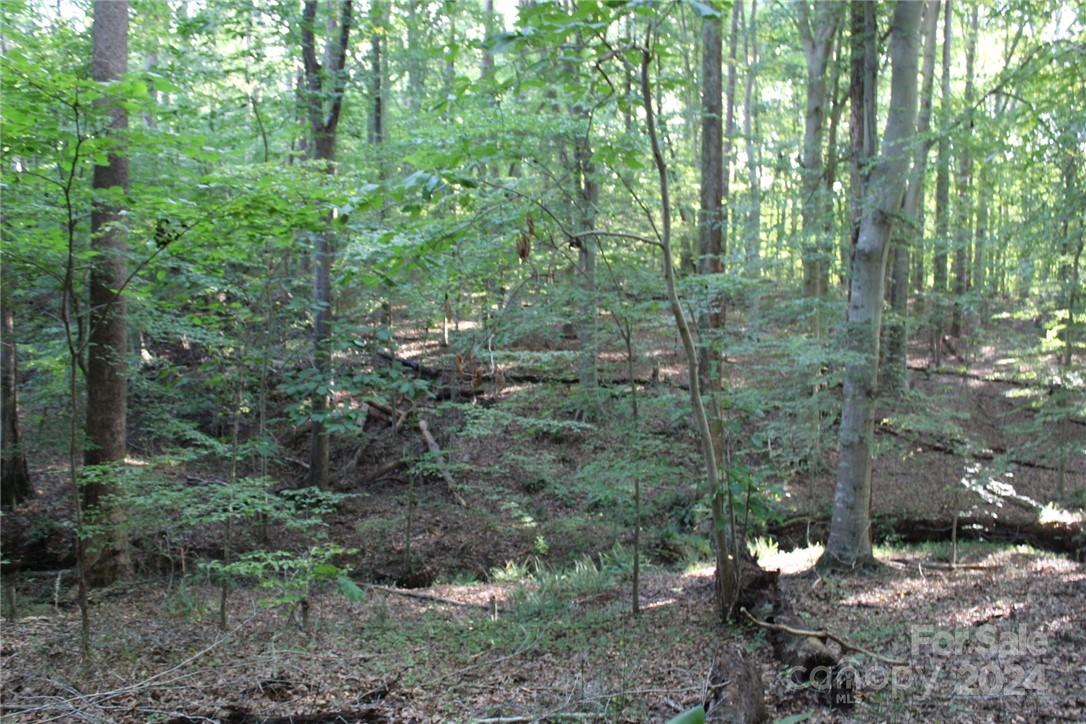 0 Hoover Road Troutman NC 28166