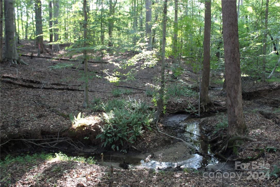 0 Hoover Road Troutman NC 28166
