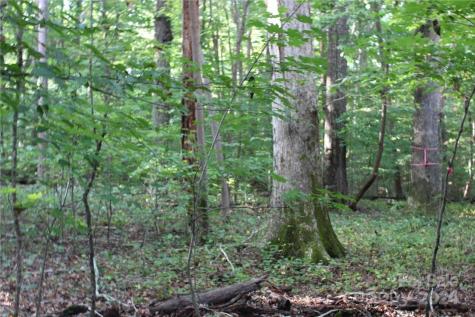 0 Hoover Road Troutman NC 28166