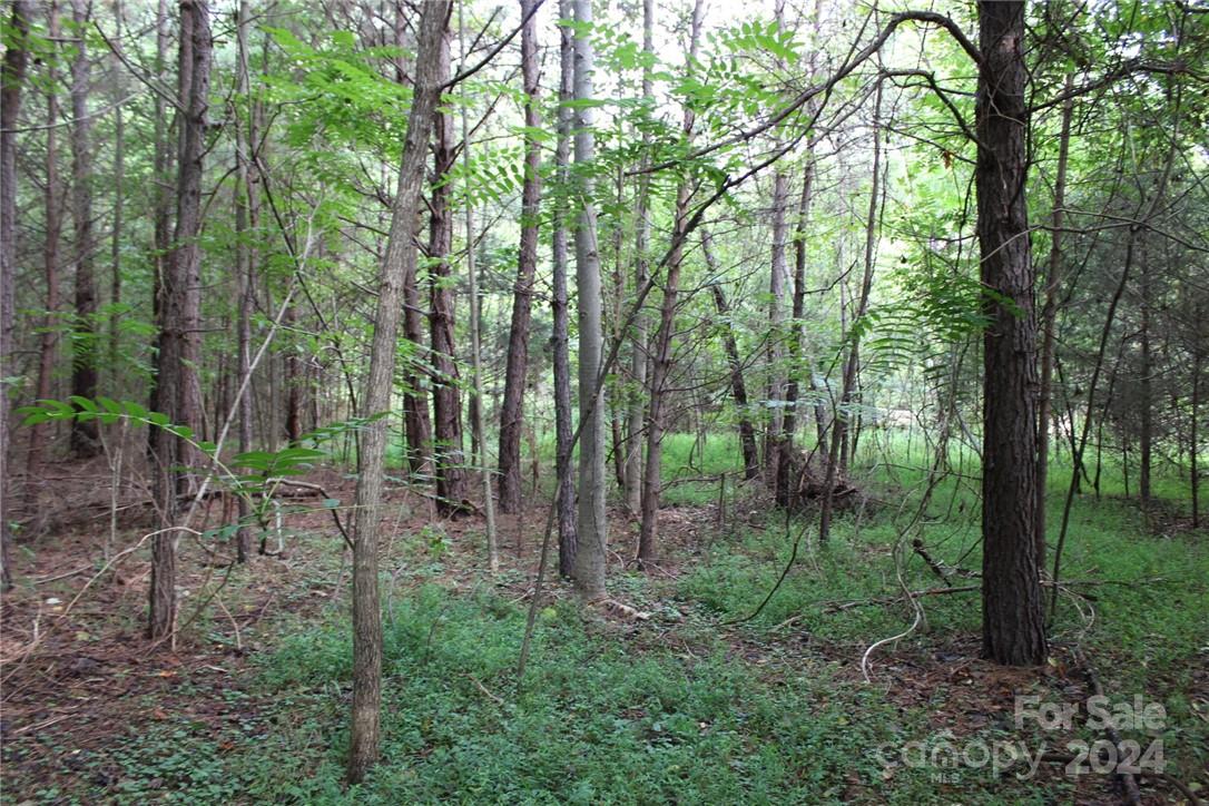 0 Hoover Road Troutman NC 28166