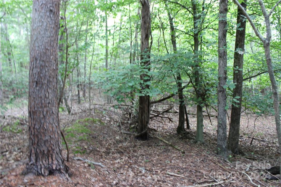 0 Hoover Road Troutman NC 28166