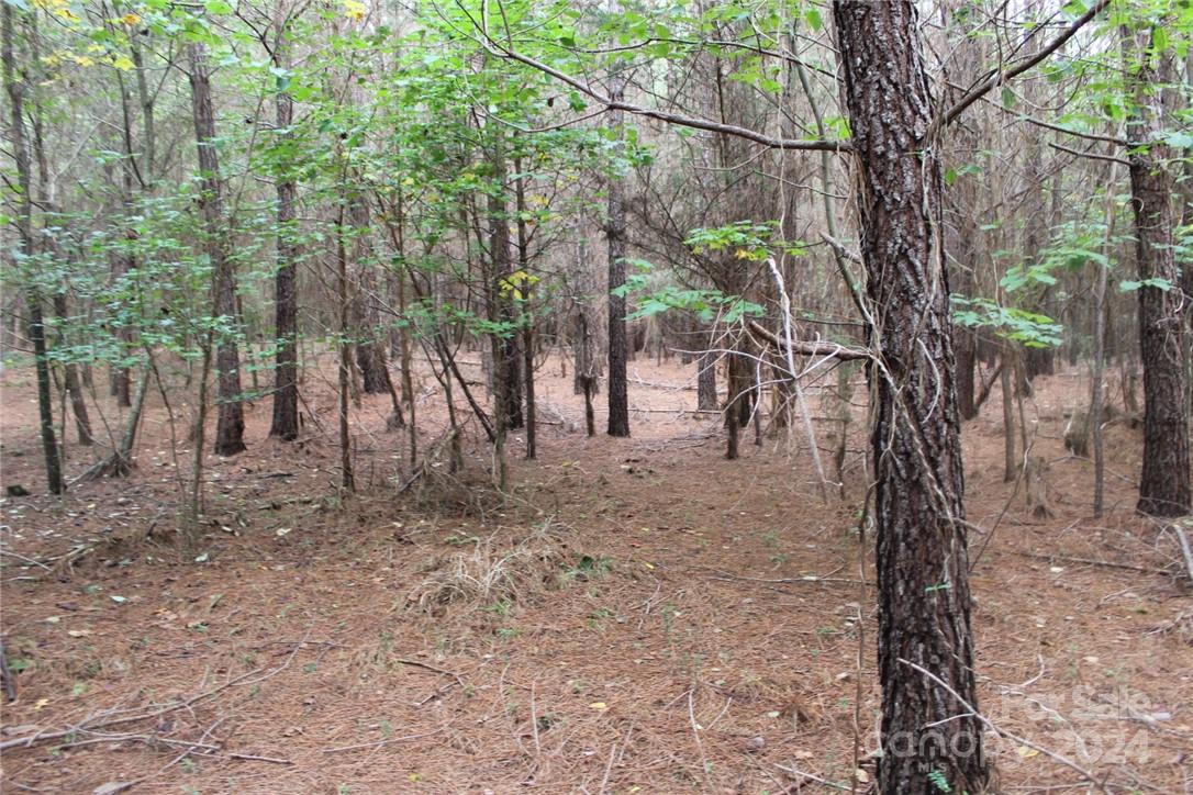 0 Hoover Road Troutman NC 28166