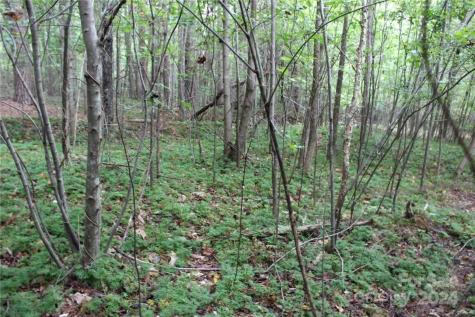 0 Hoover Road Troutman NC 28166