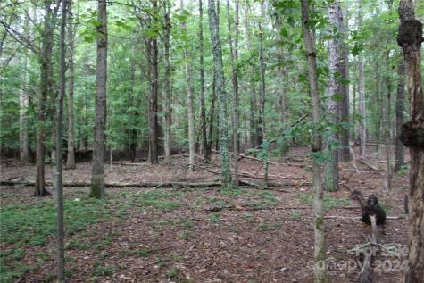0 Hoover Road Troutman NC 28166