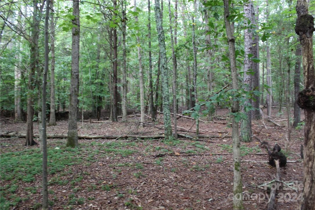 0 Hoover Road Troutman NC 28166
