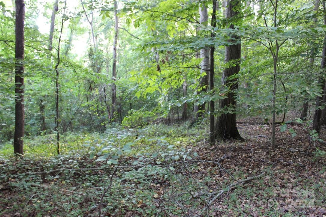 0 Hoover Road Troutman NC 28166