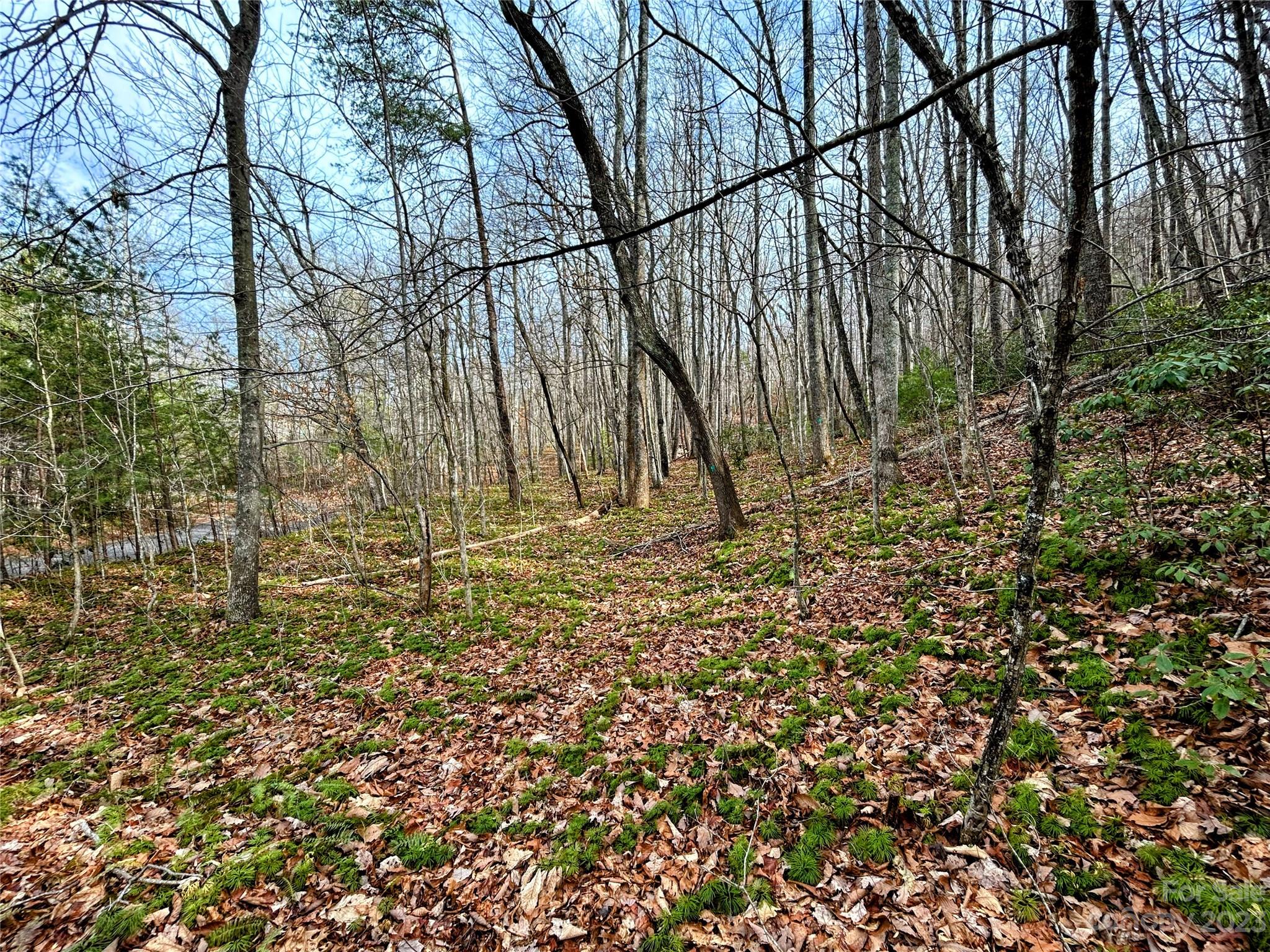 Lot 7 Azalea Way Saluda NC 28773