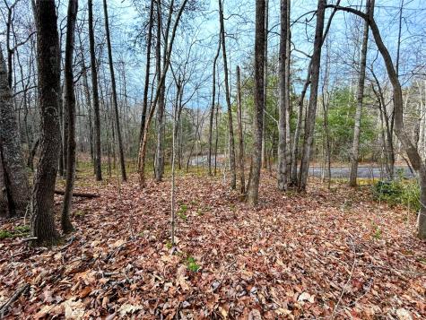 Lot 7 Azalea Way Saluda NC 28773