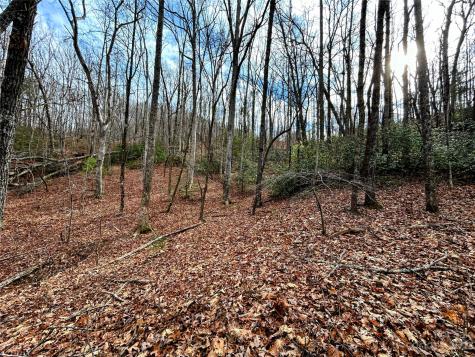 Lot 7 Azalea Way Saluda NC 28773