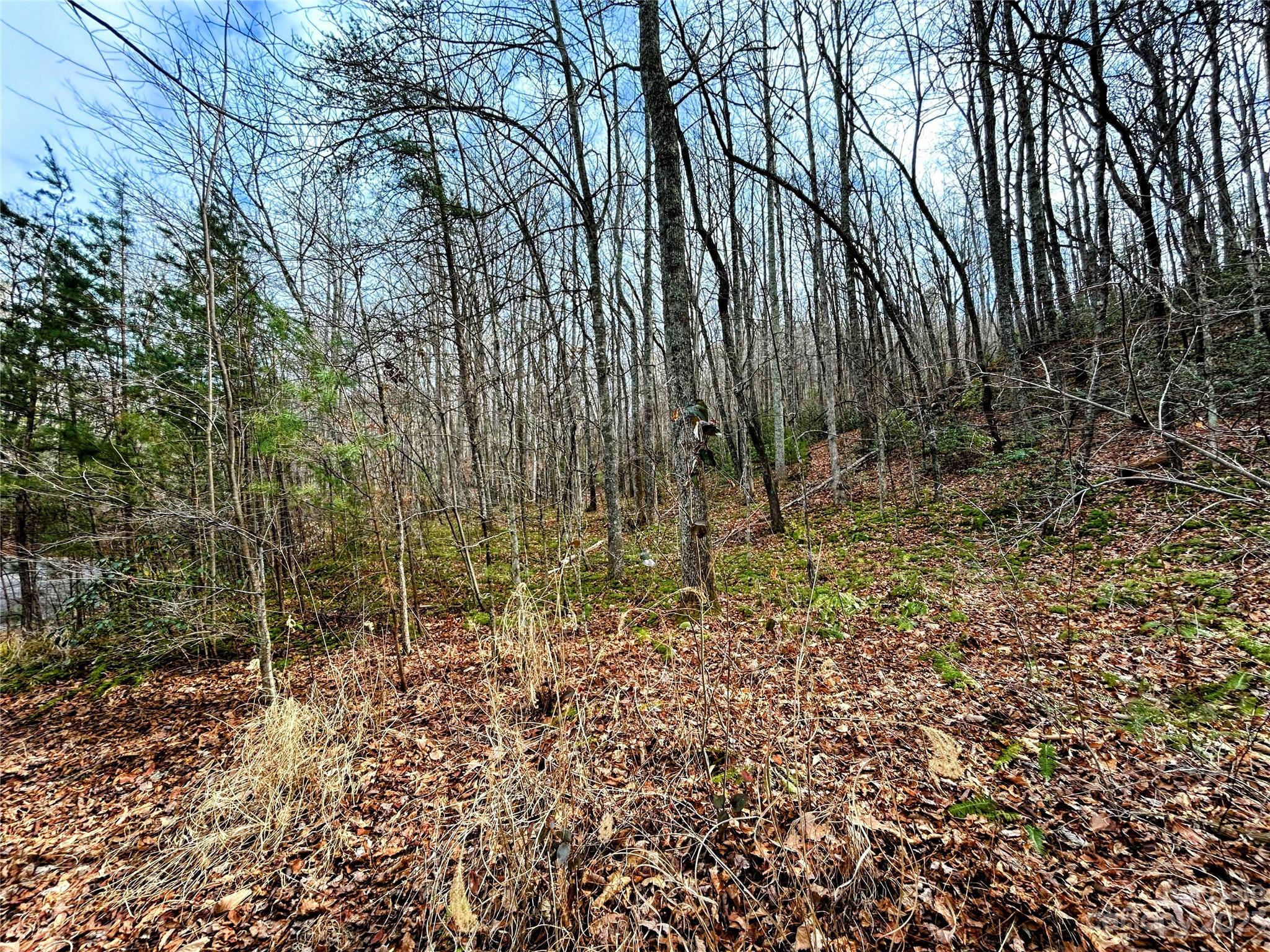 Lot 7 Azalea Way Saluda NC 28773