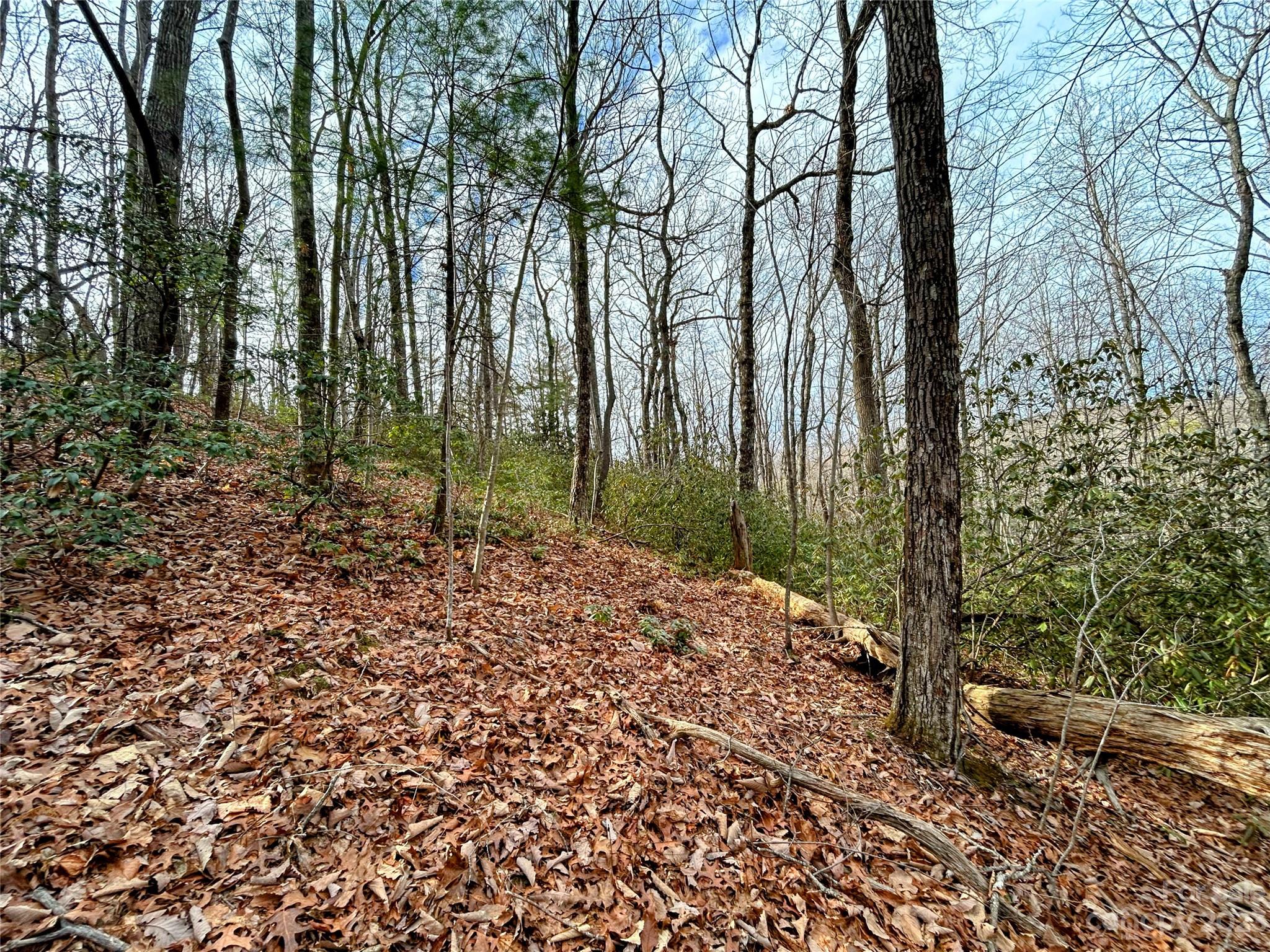 Lot 7 Azalea Way Saluda NC 28773