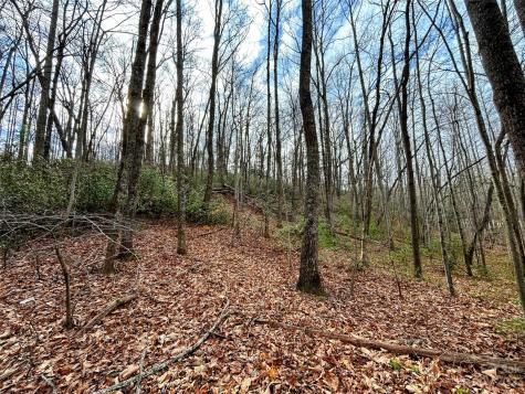 Lot 7 Azalea Way Saluda NC 28773