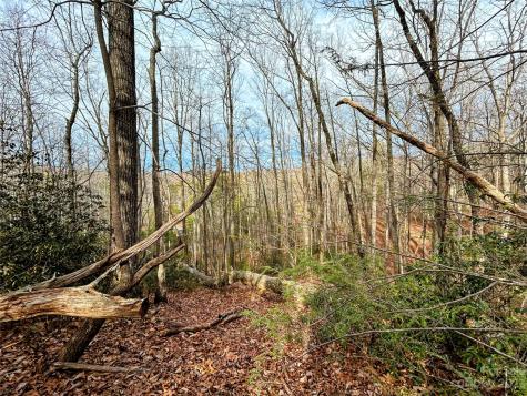 Lot 7 Azalea Way Saluda NC 28773