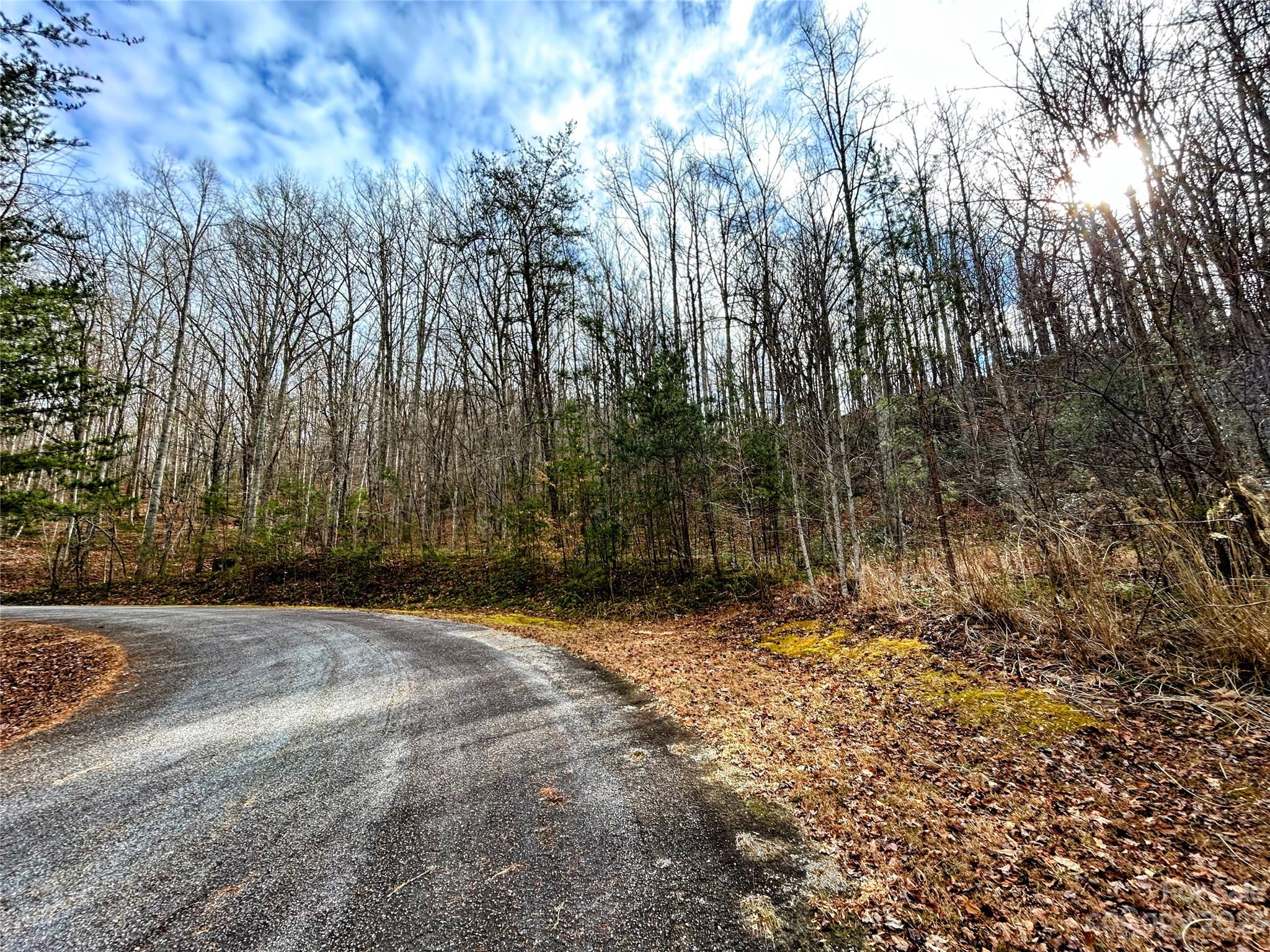Lot 7 Azalea Way Saluda NC 28773