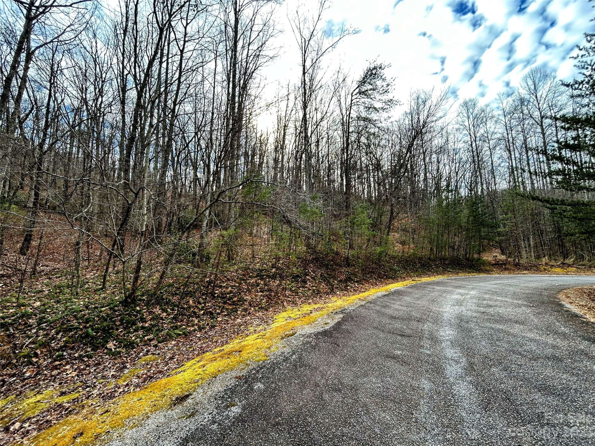 Lot 7 Azalea Way Saluda NC 28773