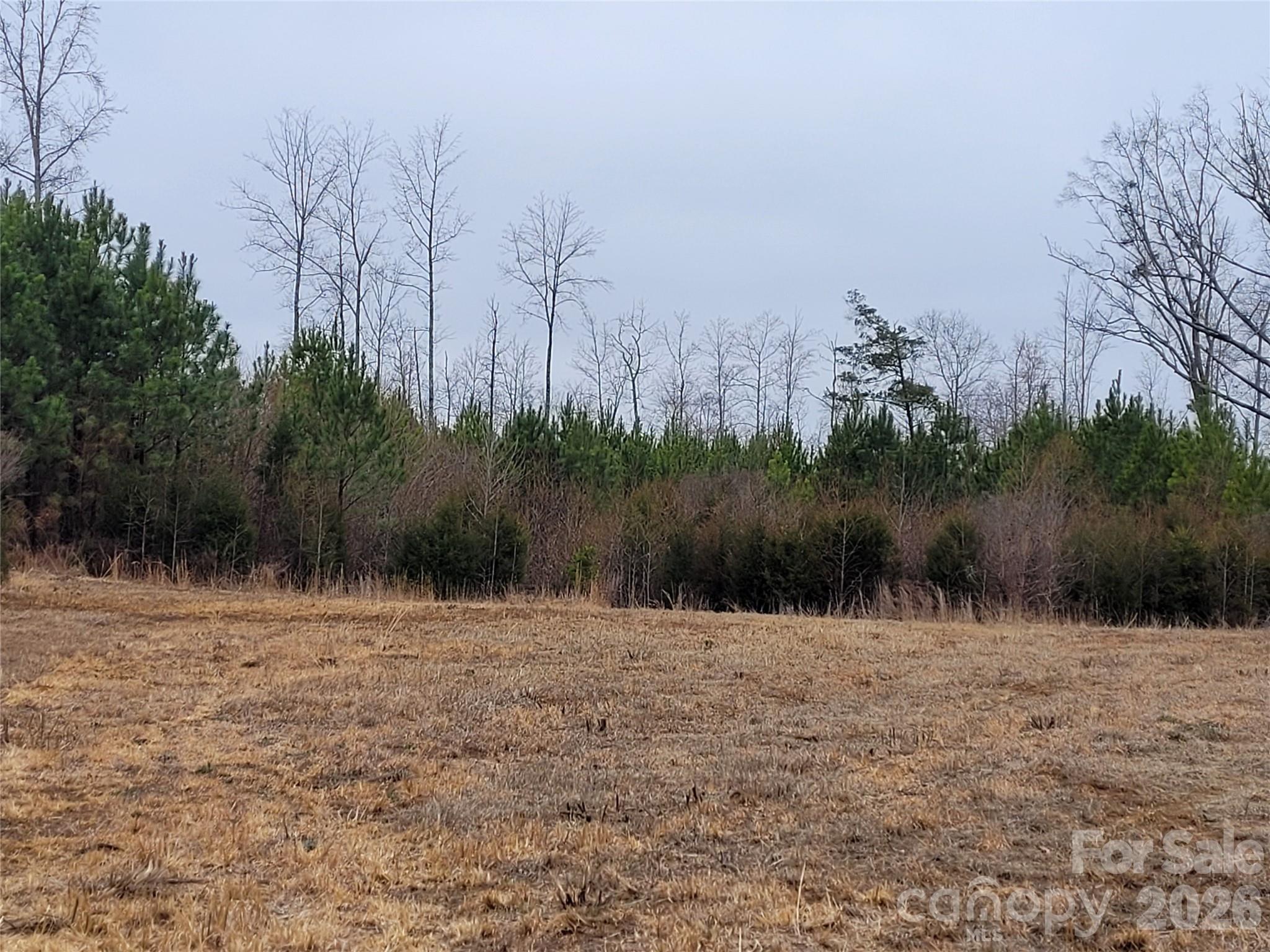 00000 Frazier Road Mebane NC 27302