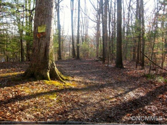 Lot 1 Dunkirk Road Asheville NC 28803